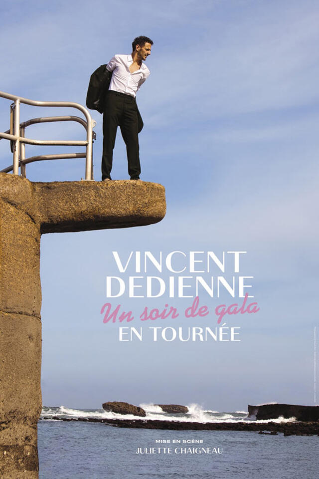 VINCENT DEDIENNE