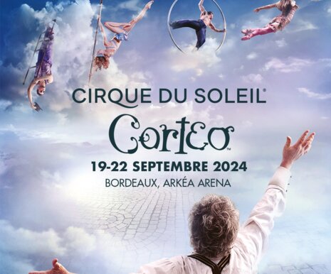 CIRQUE DU SOLEIL